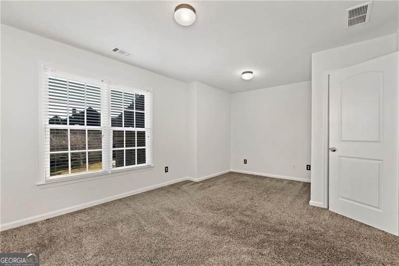 4041 Lost Mill Lane Buford - Photo 61