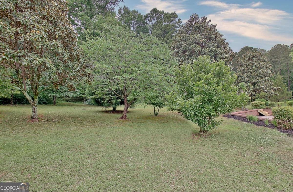 105 Walden Way Fayetteville - Photo 87