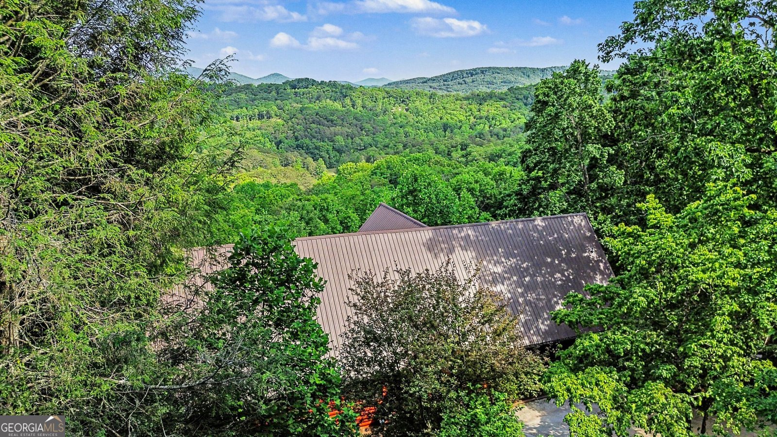 112 Eagles Nest Lane Blue Ridge - Photo 48