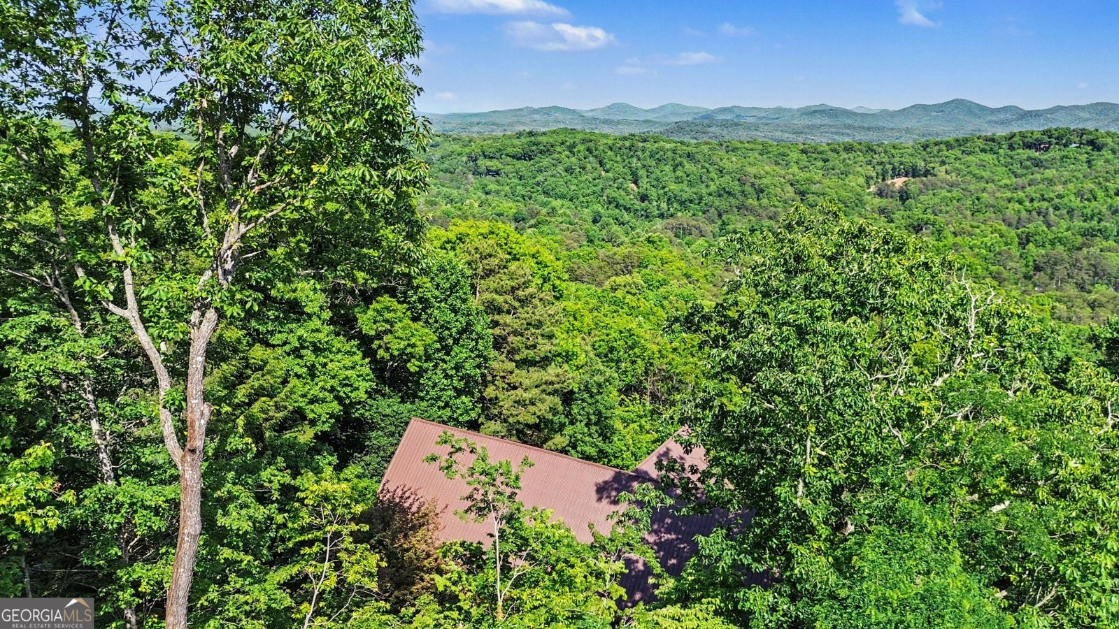 112 Eagles Nest Lane Blue Ridge - Photo 49