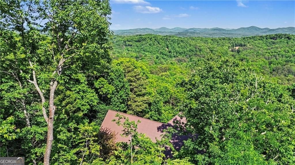 112 Eagles Nest Lane Blue Ridge - Photo 53
