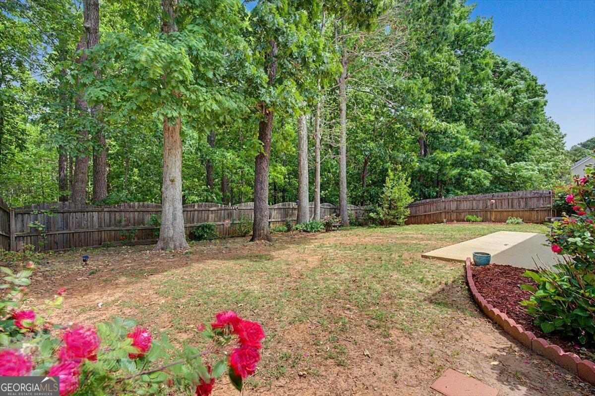 90 Darbys Run Court Hiram - Photo 27