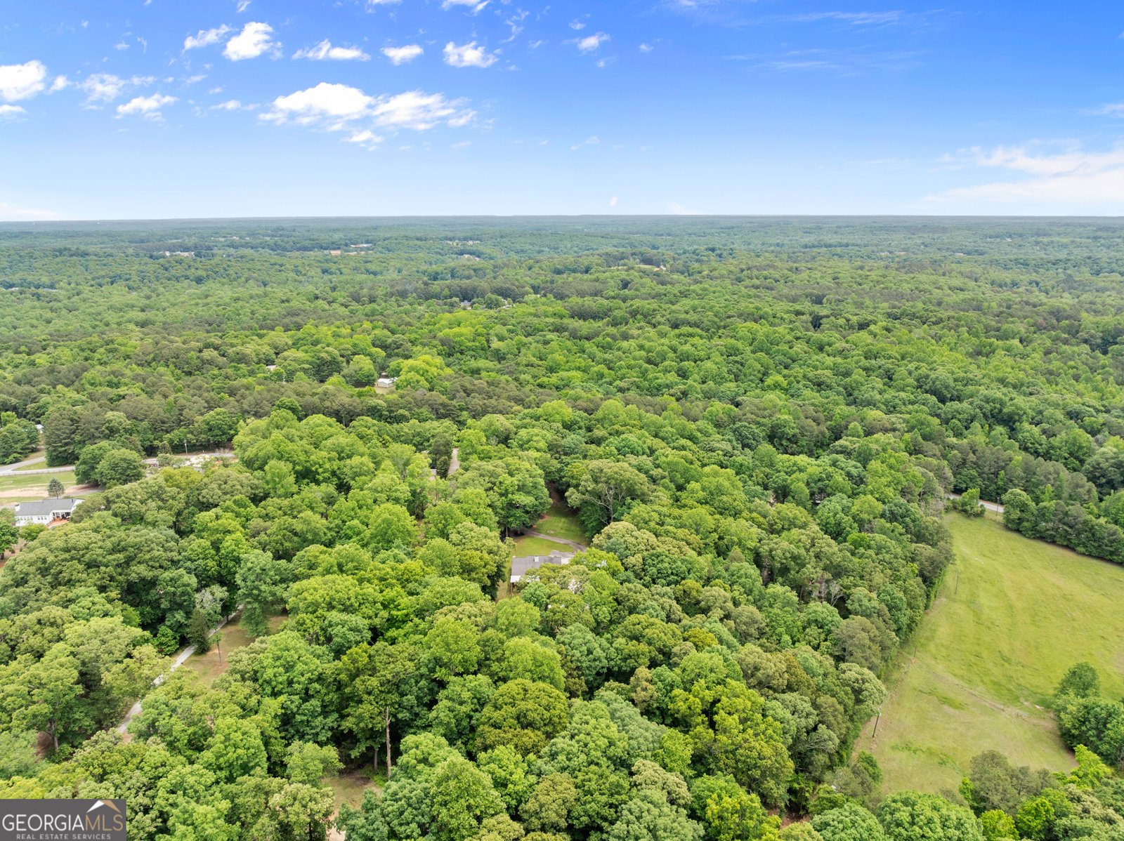 1405 Tapp Wood Road Hoschton - Photo 44