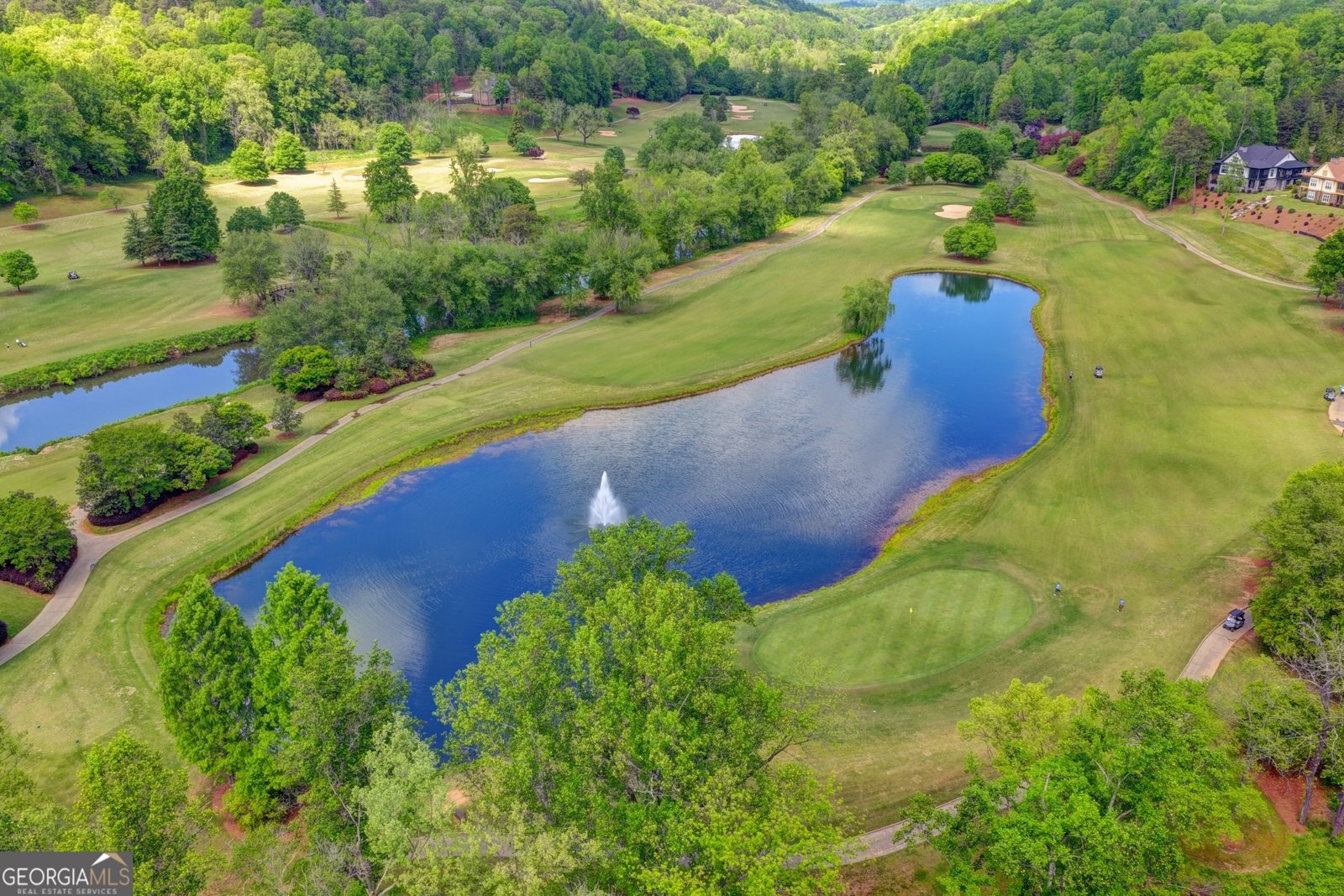 10 Cavender Run Dahlonega - Photo 137
