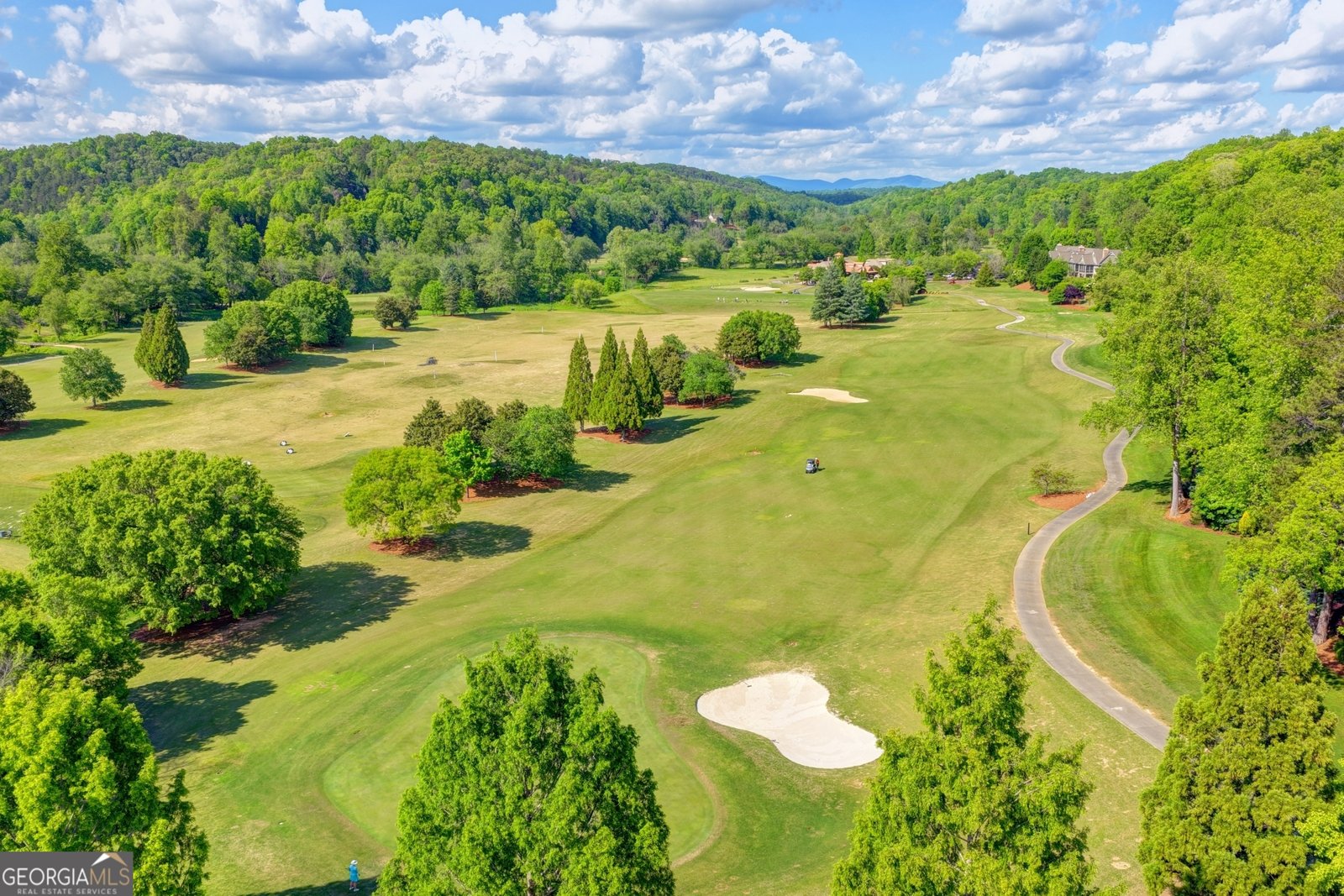10 Cavender Run Dahlonega - Photo 154