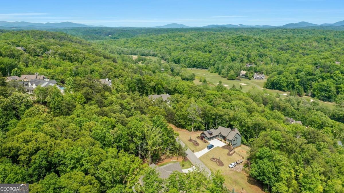 200 Golden Bear Pass Dahlonega - Photo 80