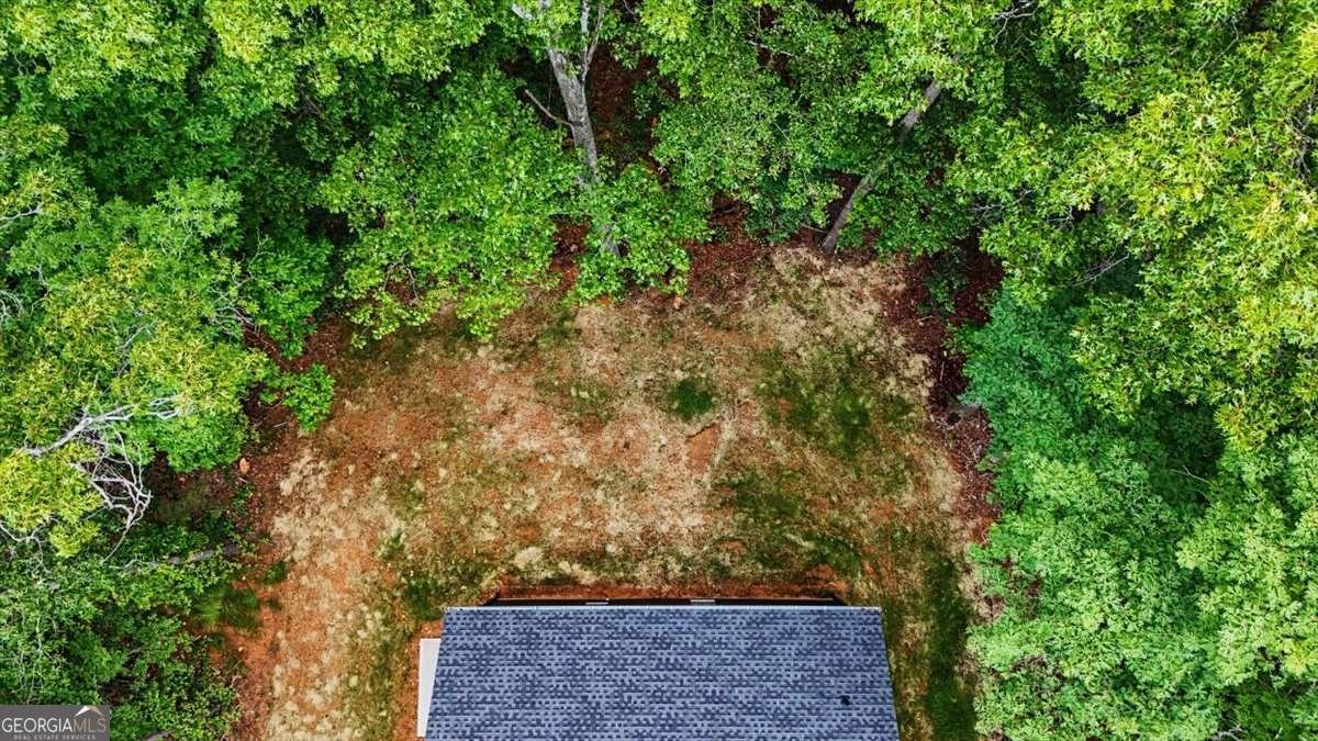 233 Old Old Alabama Road Emerson - Photo 44