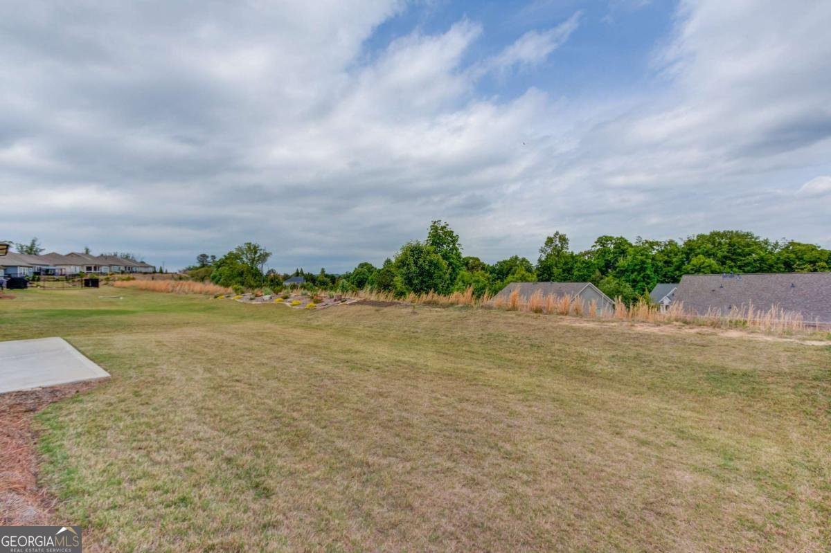 6917 River Rock Drive Flowery Branch - Photo 41