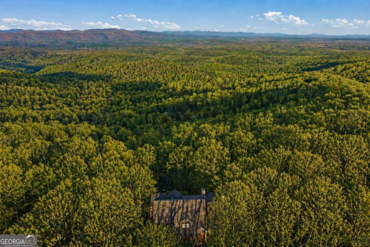 352 Sanderlin Mtn Drive Big Canoe - Photo 22