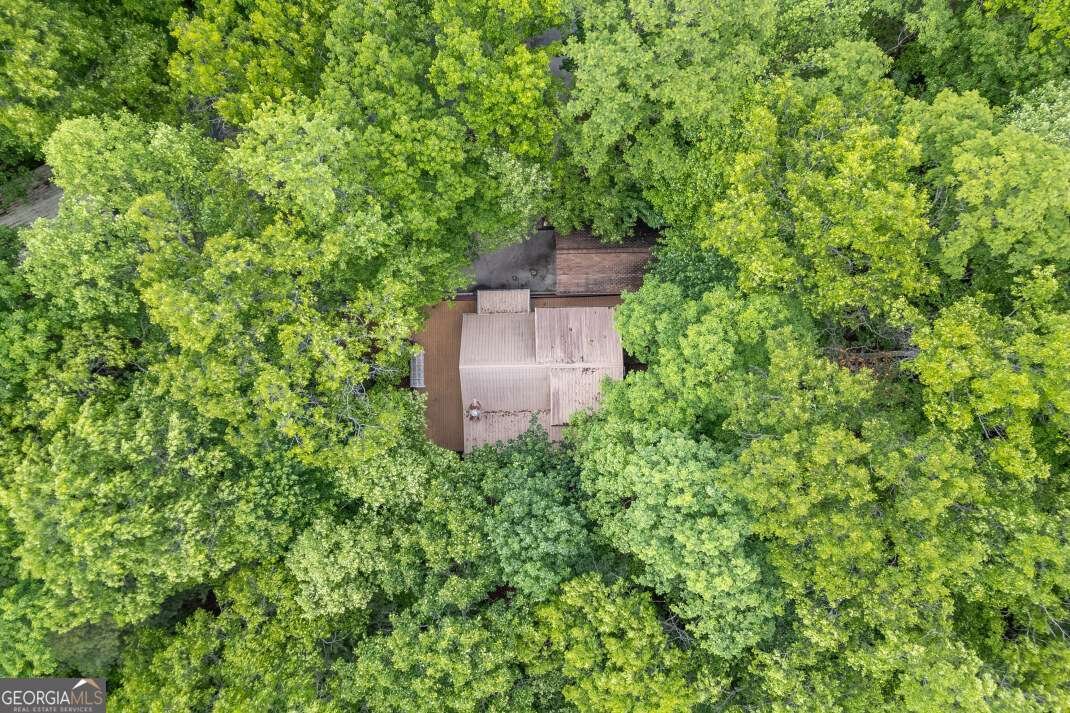 344 Robertson Drive Blairsville - Photo 39
