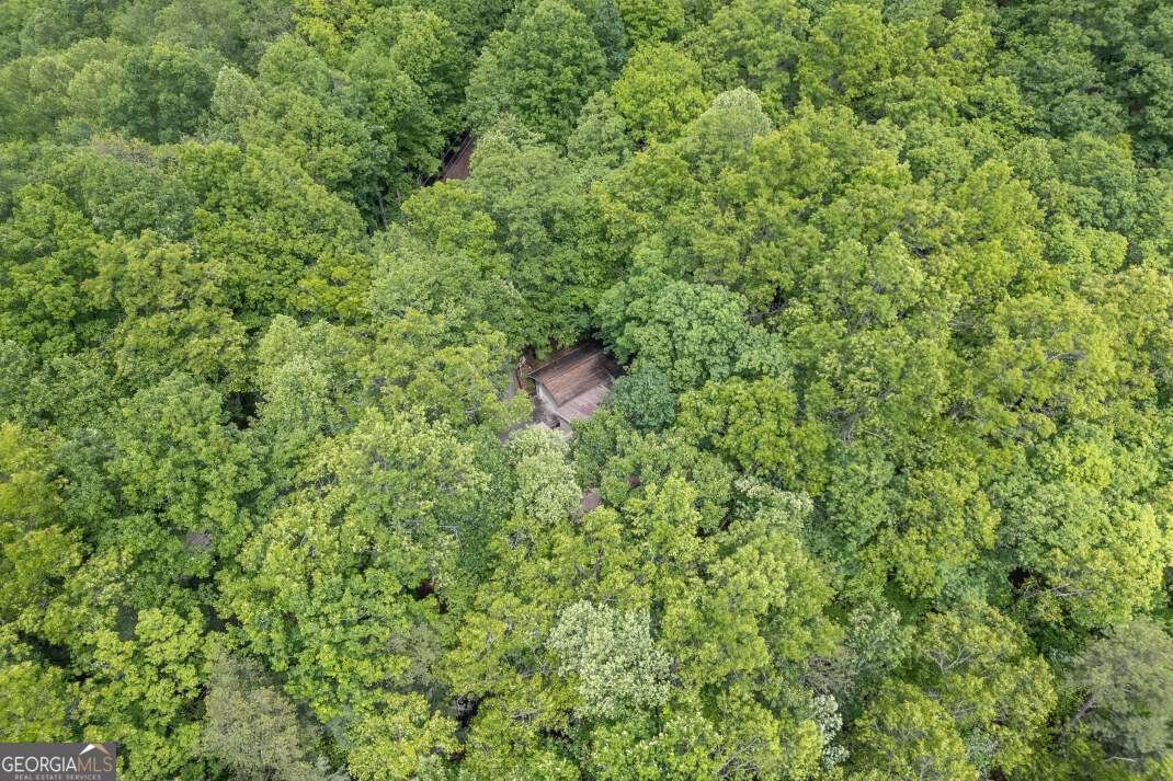 344 Robertson Drive Blairsville - Photo 40