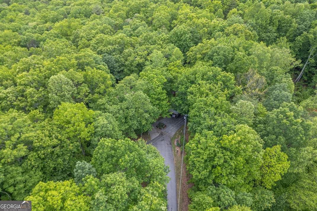 344 Robertson Drive Blairsville - Photo 41