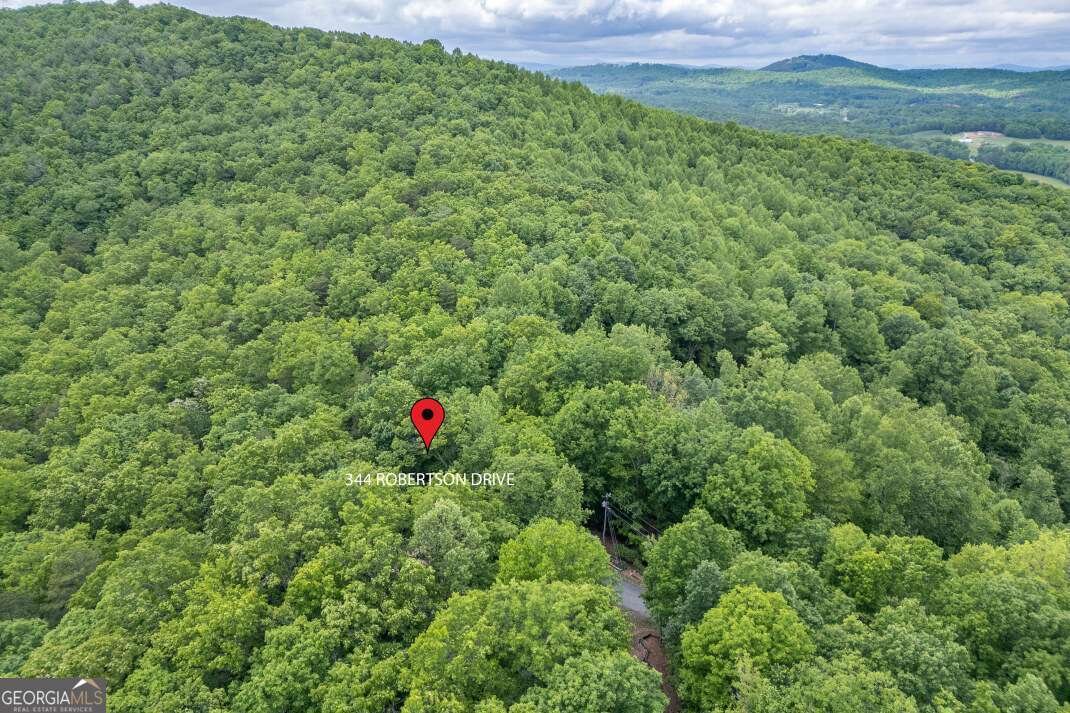 344 Robertson Drive Blairsville - Photo 42
