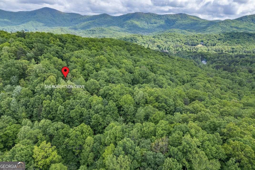 344 Robertson Drive Blairsville - Photo 43