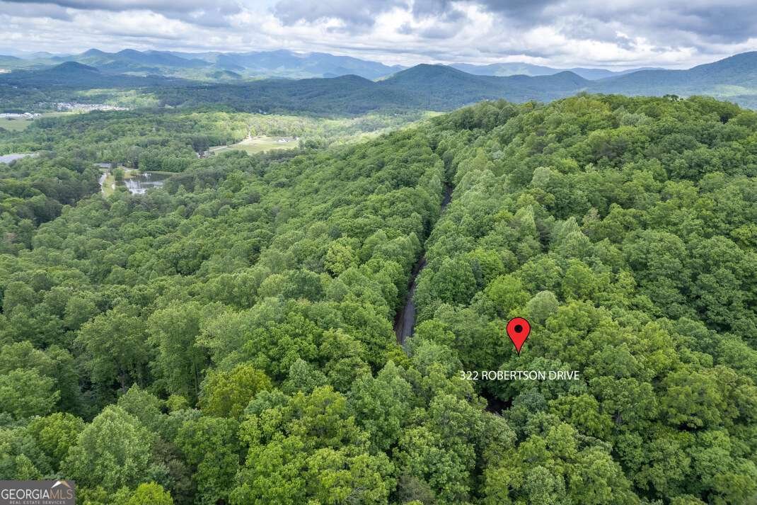 344 Robertson Drive Blairsville - Photo 44
