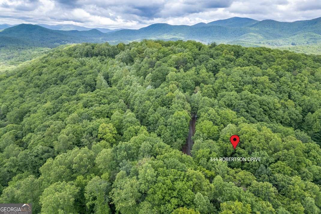 344 Robertson Drive Blairsville - Photo 45