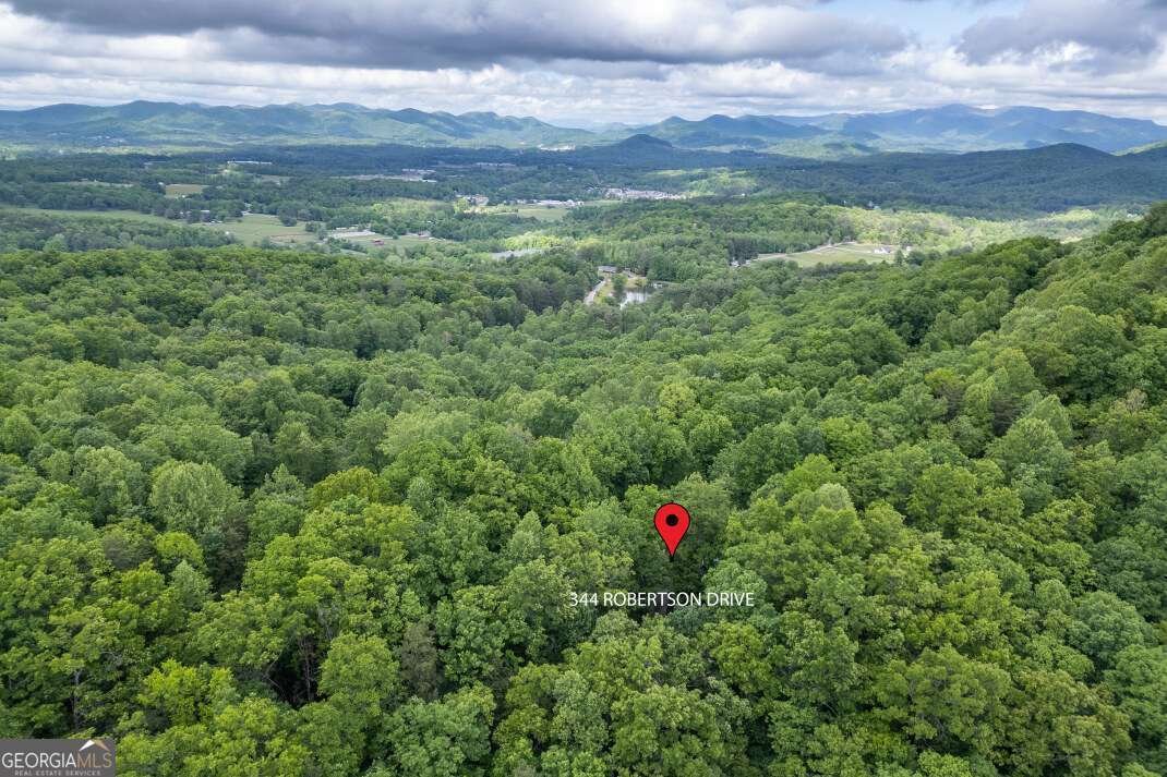 344 Robertson Drive Blairsville - Photo 46