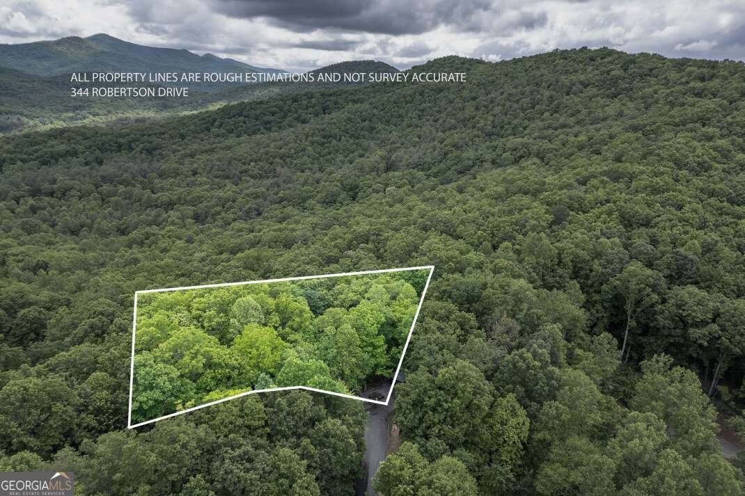 344 Robertson Drive Blairsville - Photo 47