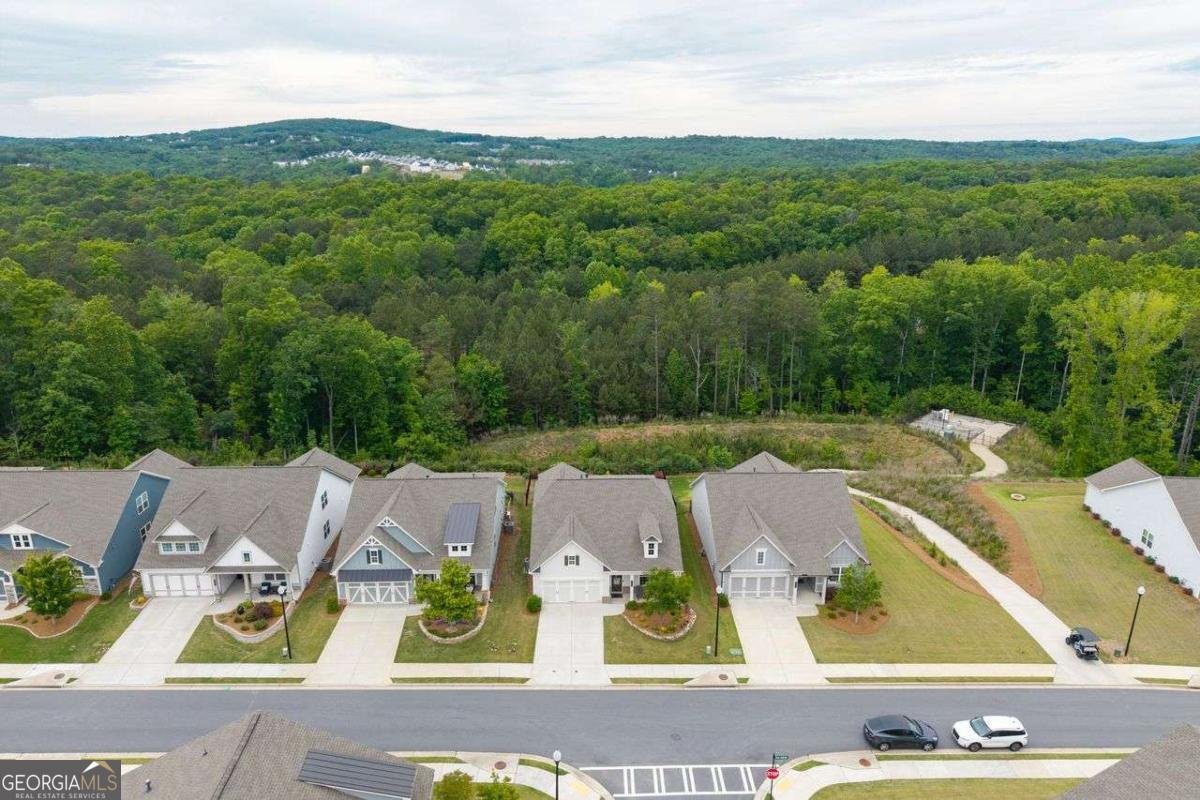 242 Hickory Bluffs Parkway Canton - Photo 37
