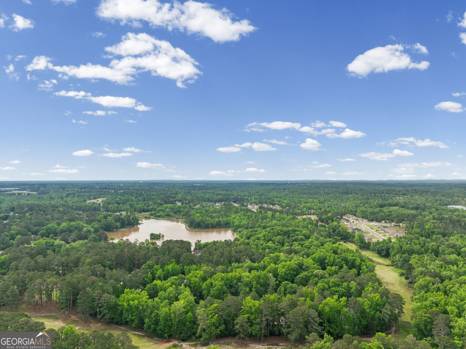 111 Cheshire Drive Griffin - Photo 67