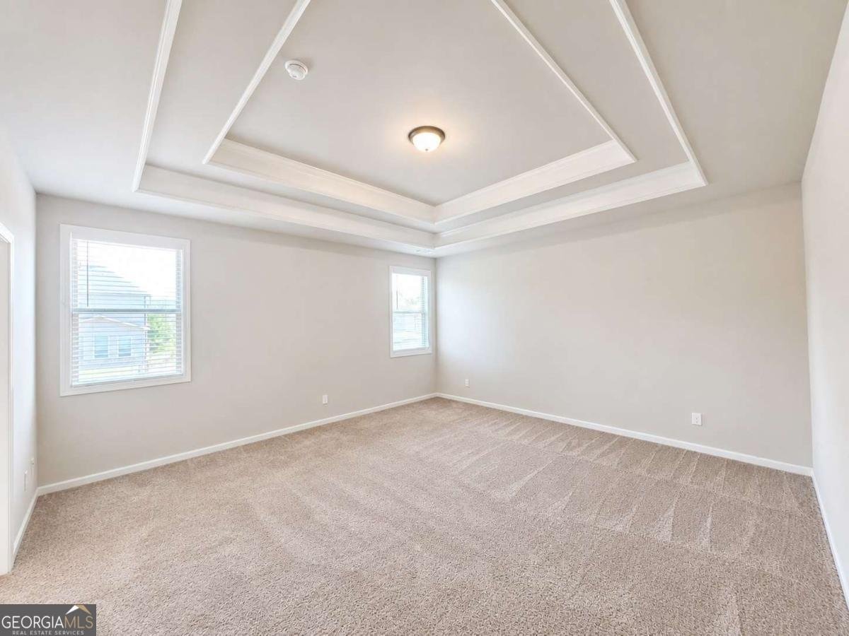 3477 Ivy Birch Way Buford - Photo 19