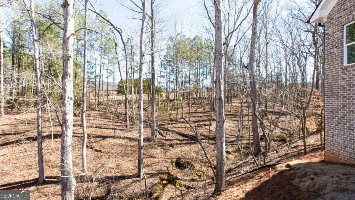 4120 Alayna Lee Circle Mcdonough - Photo 12