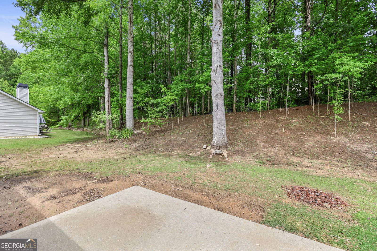 171 Lake Cove Approach Newnan - Photo 29