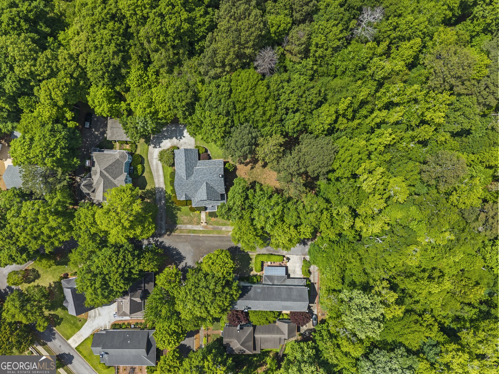 524 Hillside Road Madison - Photo 6