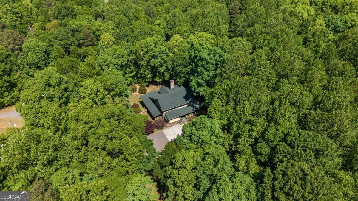 1131 Lee Circle Statham - Photo 78
