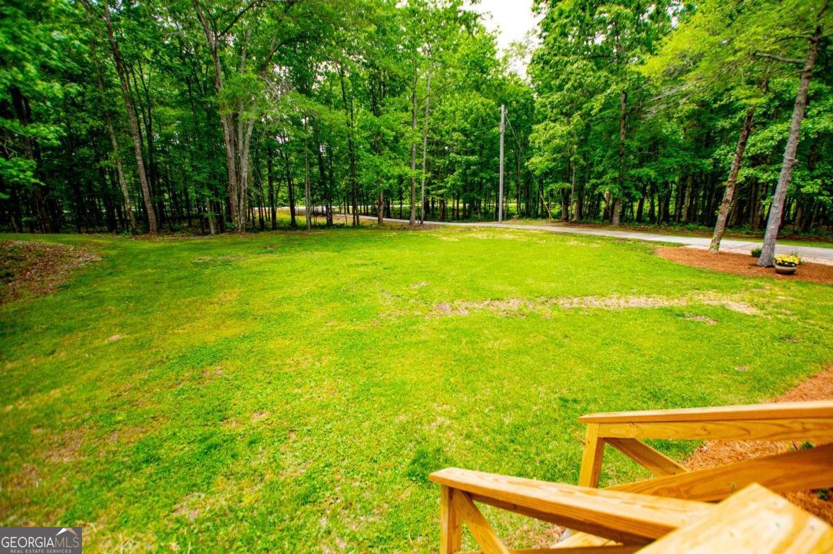 695 Jonesville Road Bowdon - Photo 10