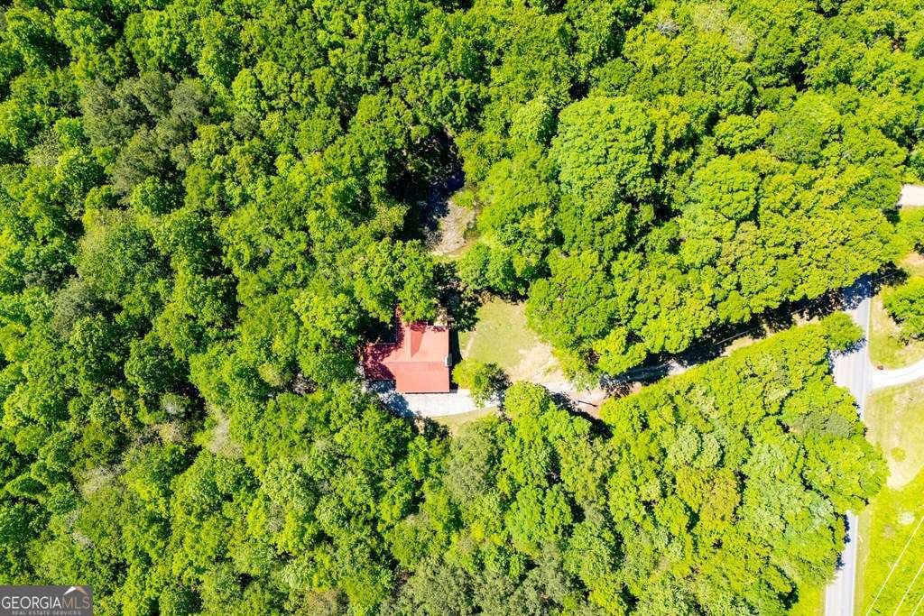 695 Jonesville Road Bowdon - Photo 49