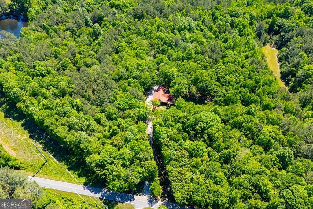 695 Jonesville Road Bowdon - Photo 50