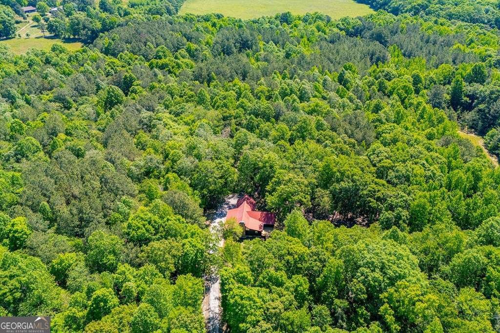 695 Jonesville Road Bowdon - Photo 51
