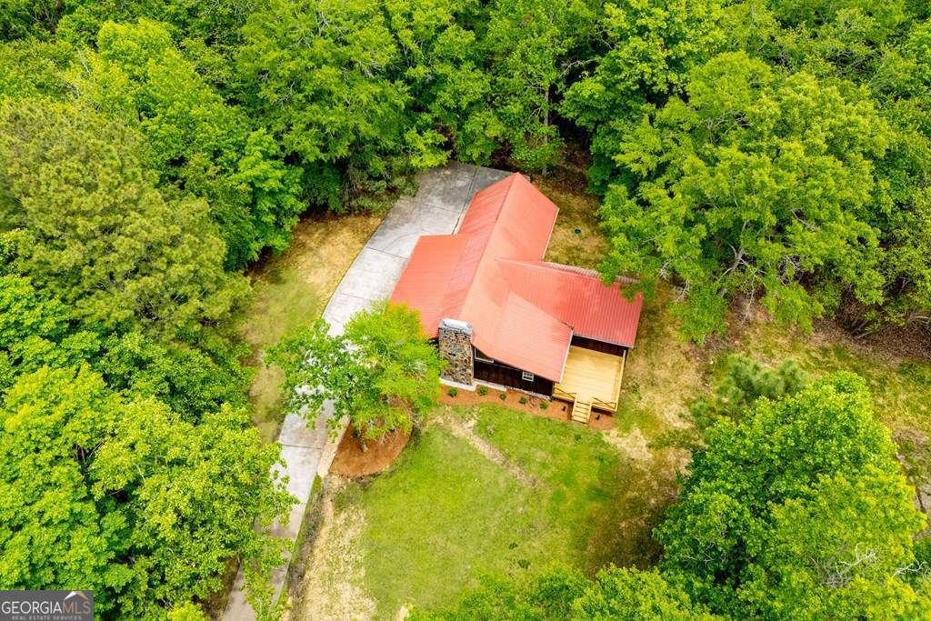 695 Jonesville Road Bowdon - Photo 52