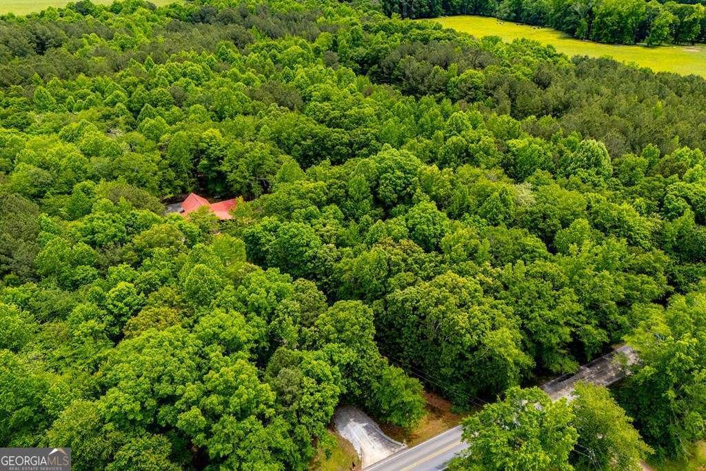 695 Jonesville Road Bowdon - Photo 54