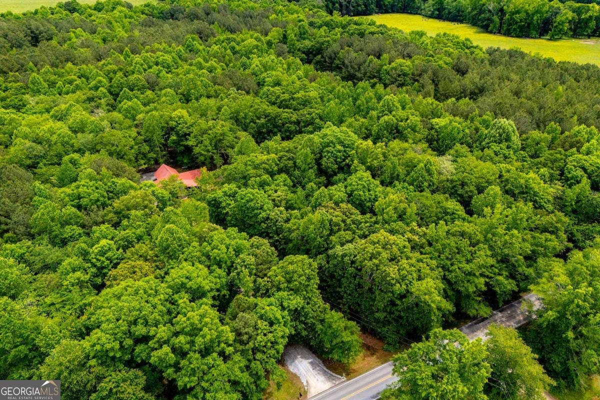 695 Jonesville Road Bowdon - Photo 8