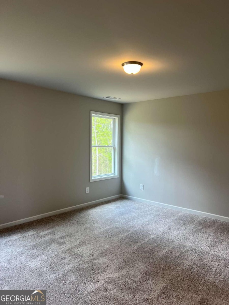 2736 Thomas View Court Loganville - Photo 24
