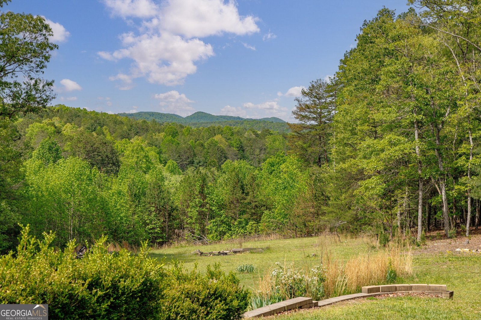 1881 John Smith Road Blairsville - Photo 27