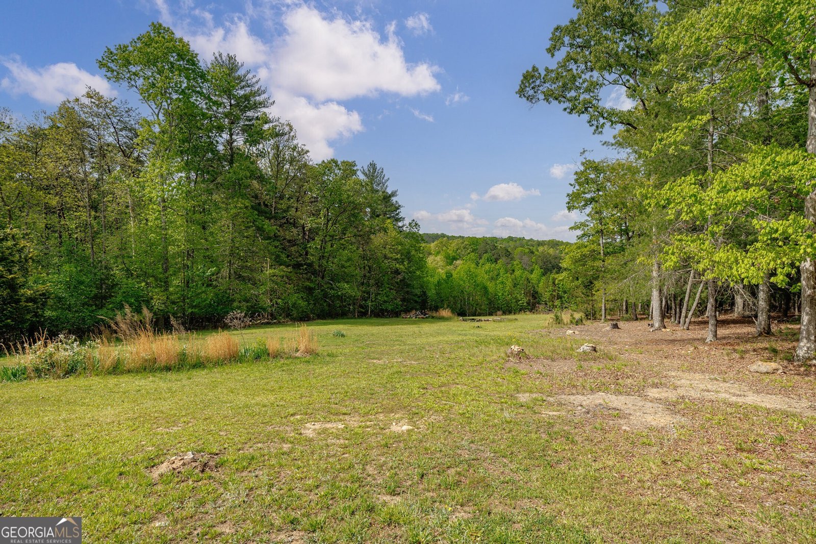 1881 John Smith Road Blairsville - Photo 31
