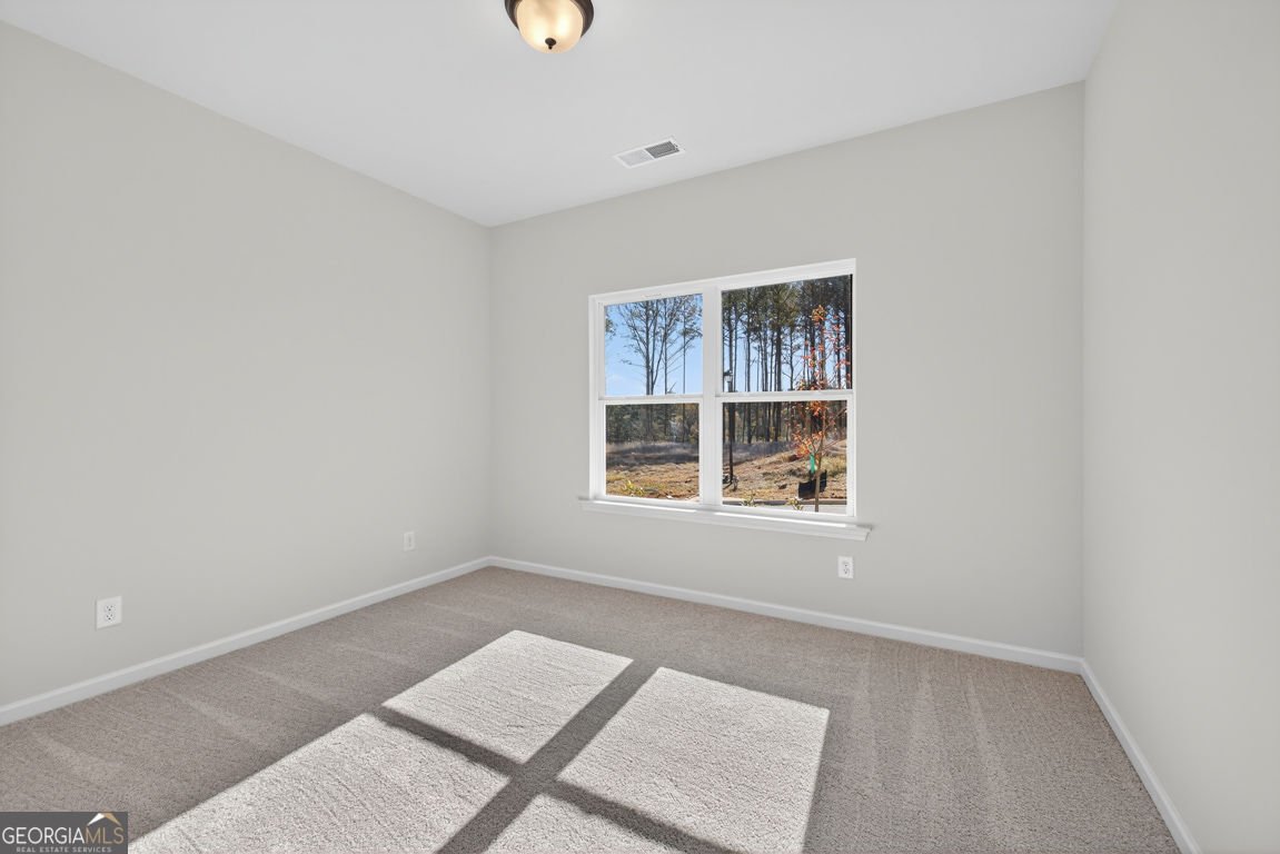 320 Bud Street Hoschton - Photo 37