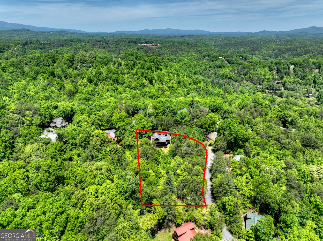 34 Dallas Lane Blue Ridge - Photo 49