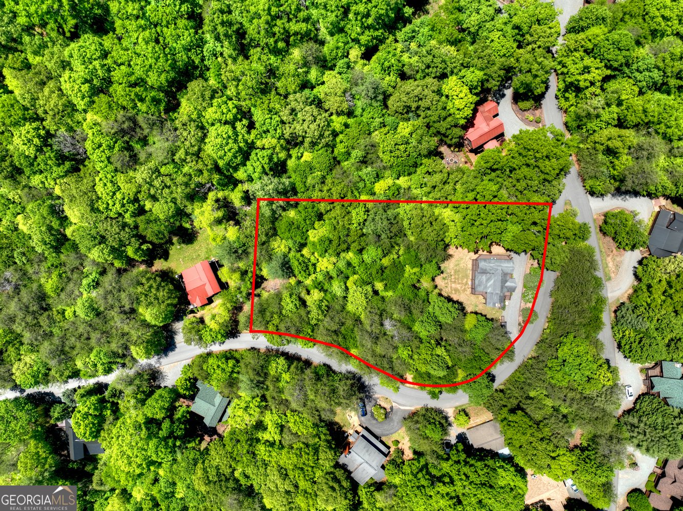 34 Dallas Lane Blue Ridge - Photo 50