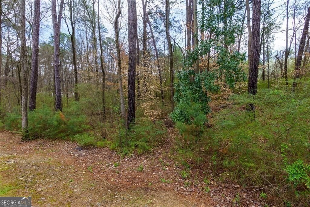 2913 Ilir Manor Atlanta - Photo 28