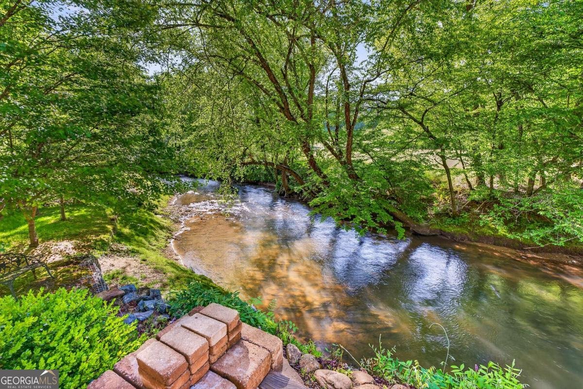 401 Mountain Rivers Road Mineral Bluff - Photo 55