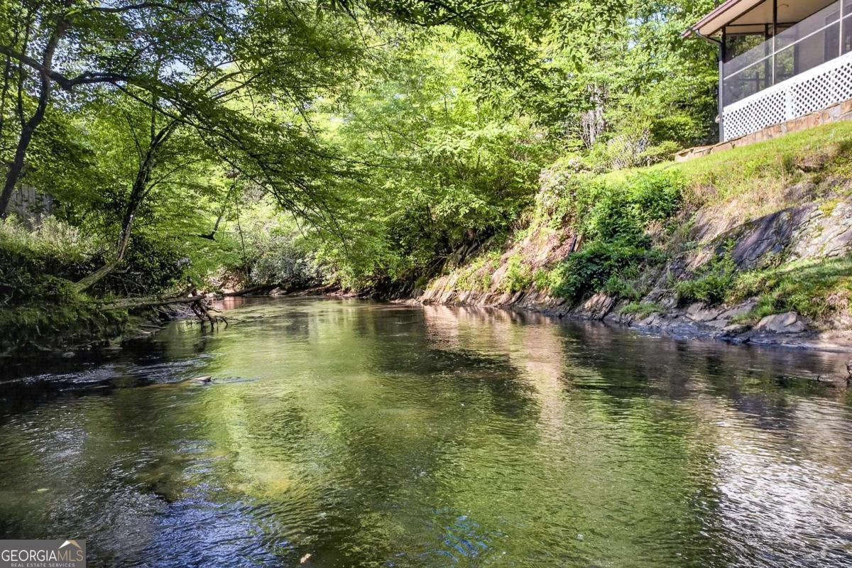 401 Mountain Rivers Road Mineral Bluff - Photo 57
