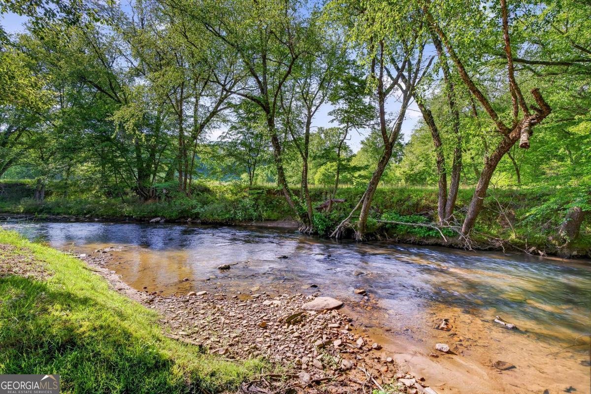 401 Mountain Rivers Road Mineral Bluff - Photo 87