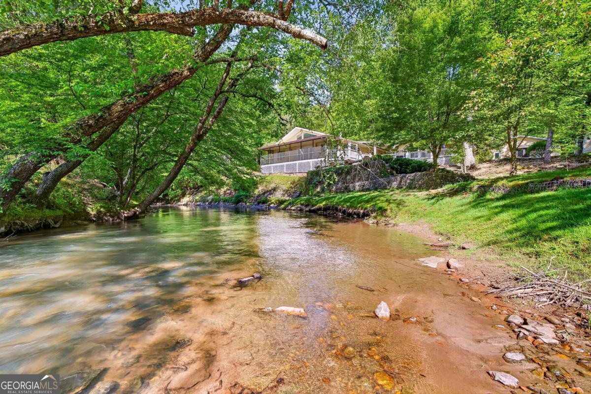 401 Mountain Rivers Road Mineral Bluff - Photo 88