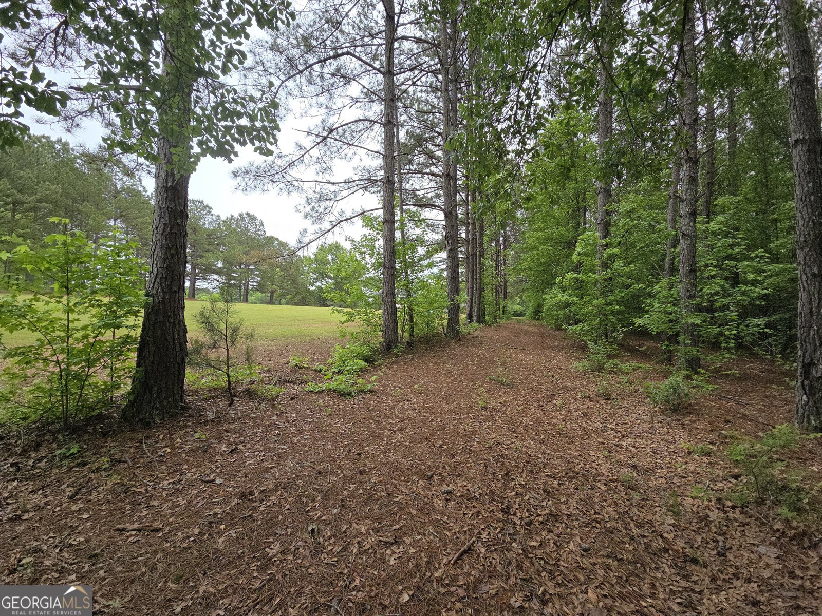 395 Milner Road Zebulon - Photo 57