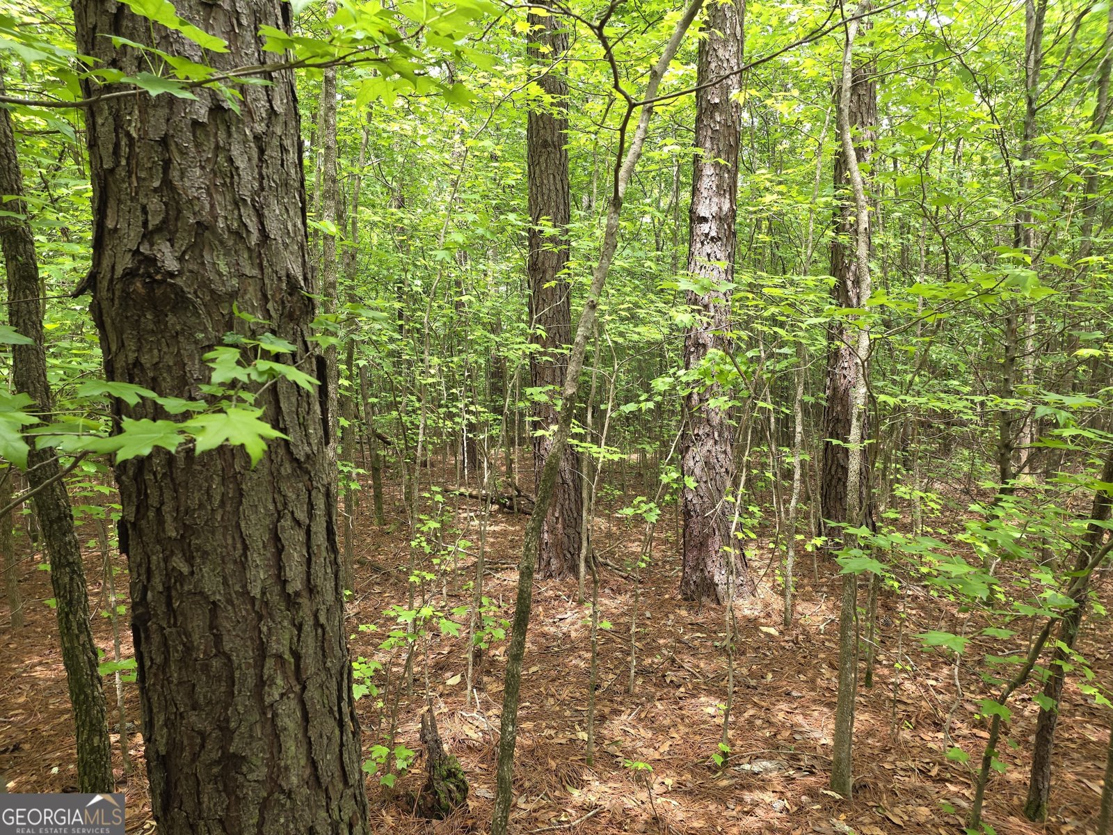 395 Milner Road Zebulon - Photo 58