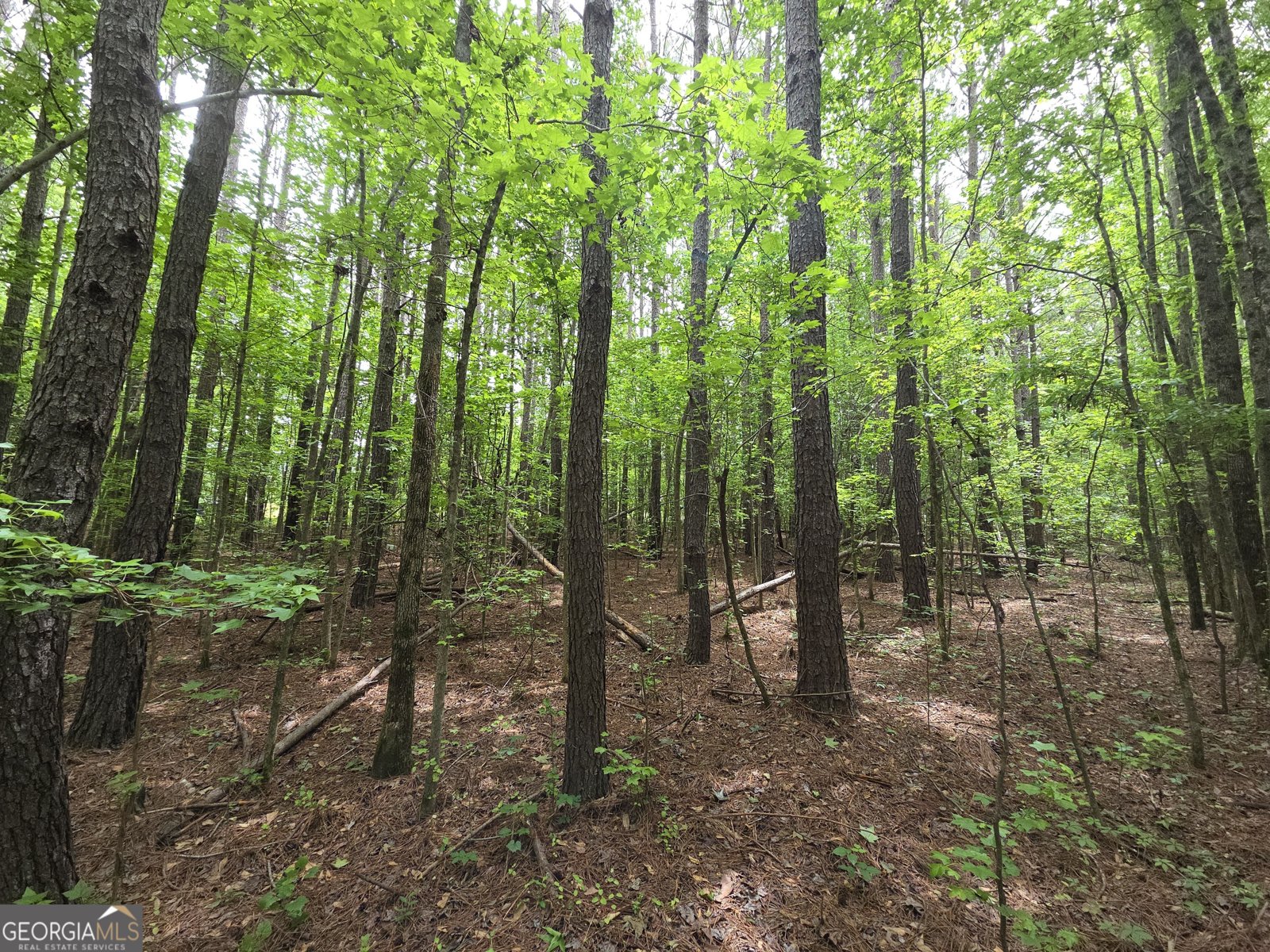 395 Milner Road Zebulon - Photo 59